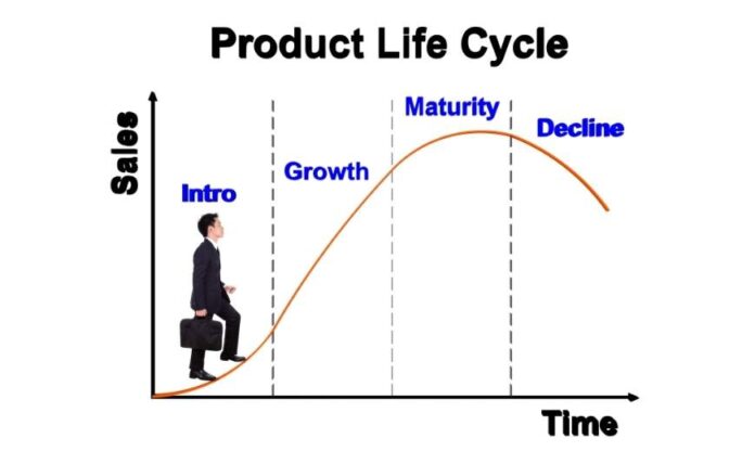 Product Life Cycle