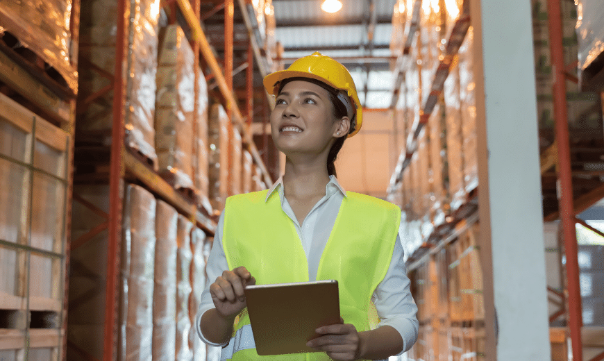 Audit inventory control