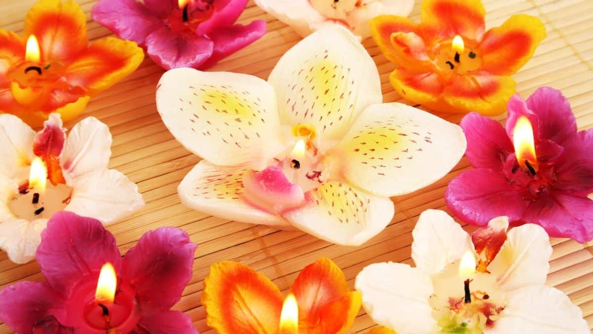 kerajinan Lilin aromateraphy