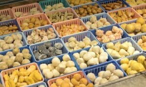 agen frozen food