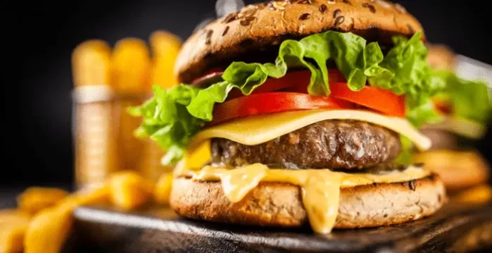 Aplikasi Kelola Bisnis burger 1