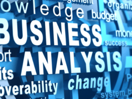 software analisis bisnis
