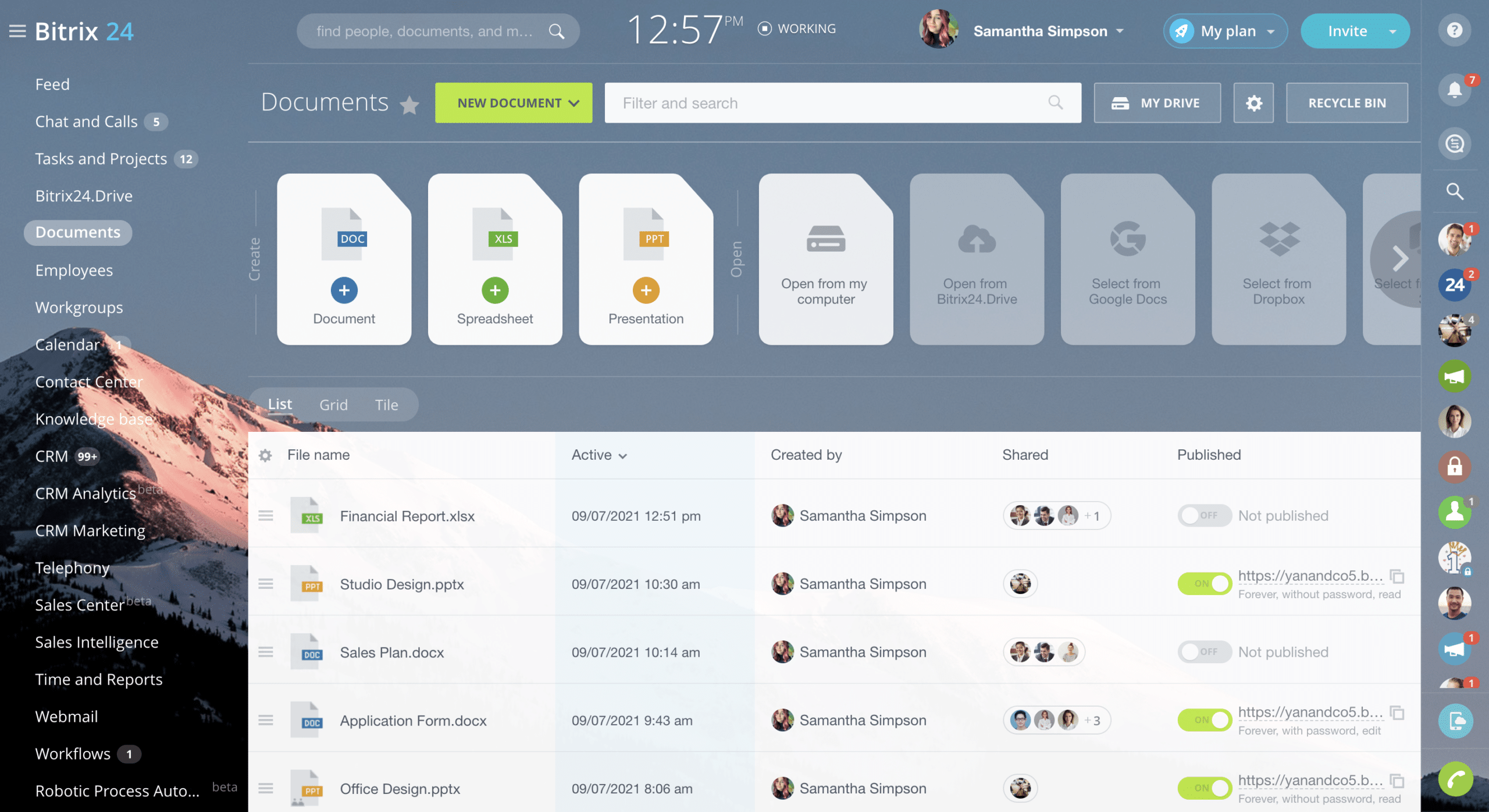 dms software bitrix24