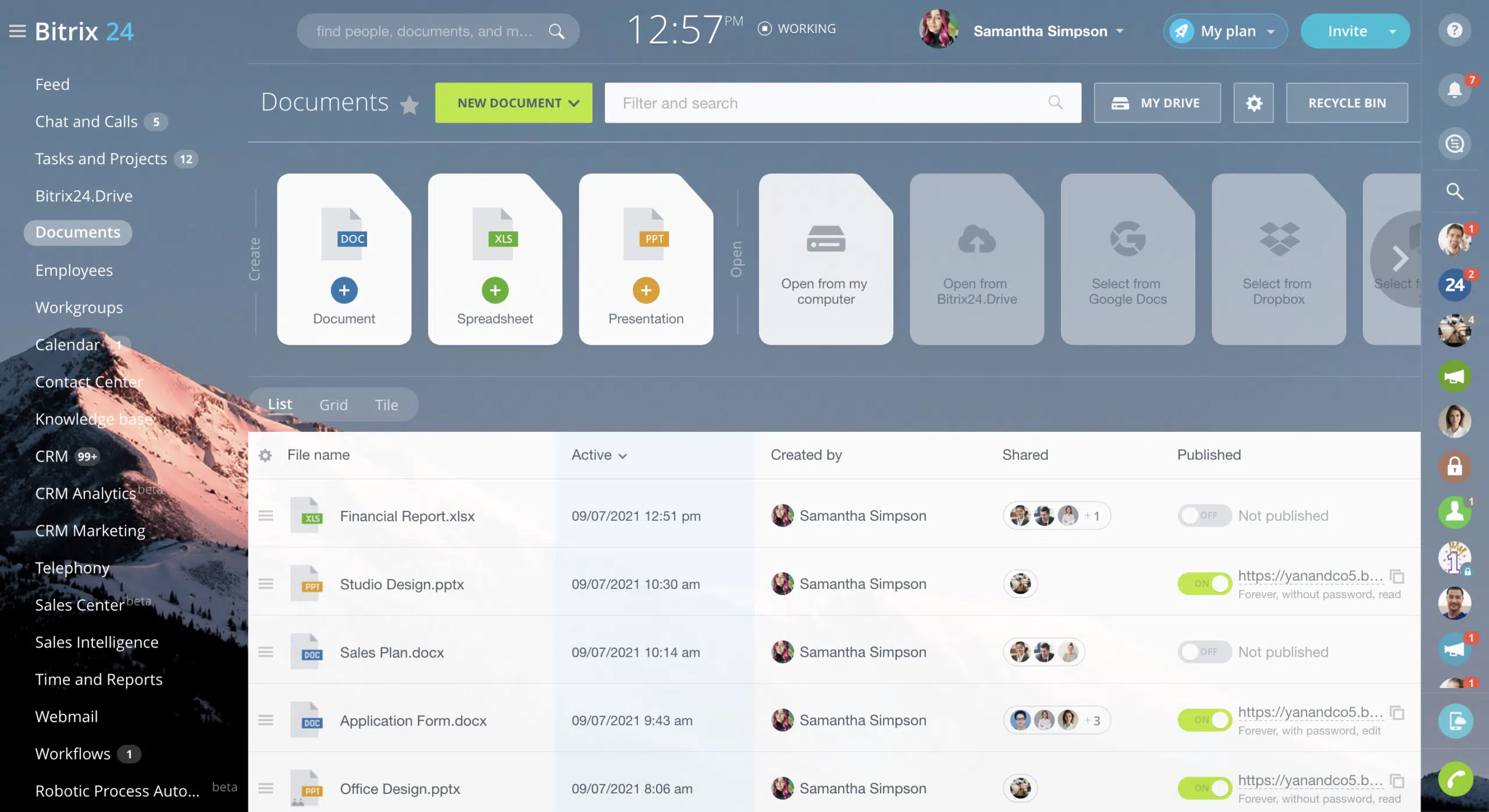 document management system bitrix24