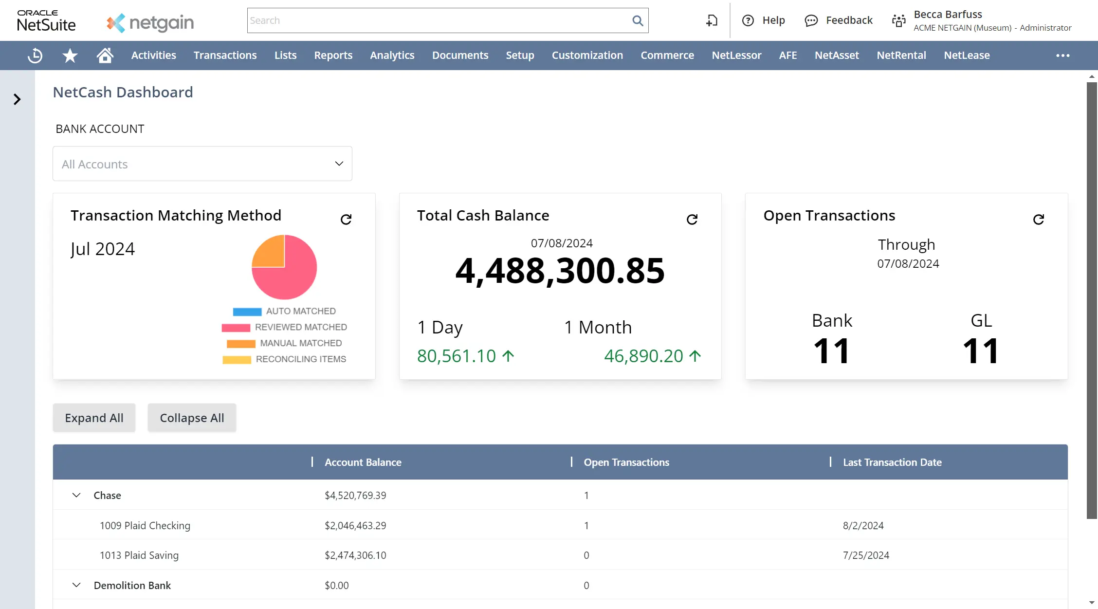 netgain accounting ai software